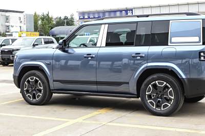 2025款 200KM两驱Max版-外观-图片-有驾