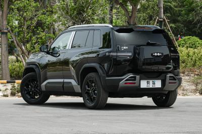 2025款 501KM 后驱智驾Max版-外观-图片-有驾