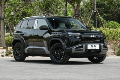 2025款 501KM 后驱智驾Max版-外观-图片-有驾