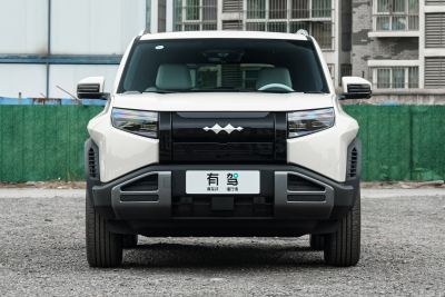 2025款 501KM 后驱智驾Max版-外观-图片-有驾