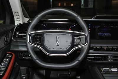 2025款 2.0T 尊逸版-内饰-图片-有驾