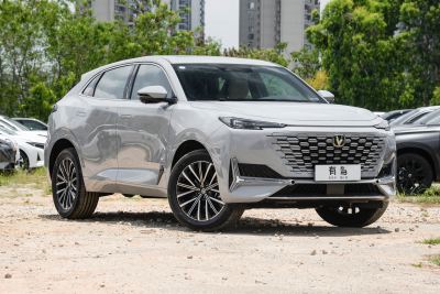 2024款 2.0T 两驱悦享型-外观-图片-有驾