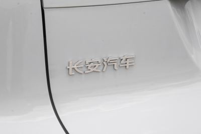 2024款 2.0T 两驱悦享型-外观-图片-有驾