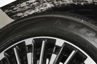 2025款 401km 尊贵版 7座-外观-图片-有驾