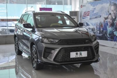 2021款 1.5T 自动铂金版-外观-图片-有驾