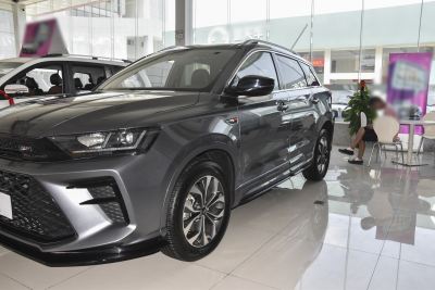 2021款 1.5T 自动铂金版-外观-图片-有驾