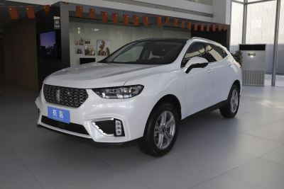 2021款 1.5T 两驱颜先锋-外观-图片-有驾