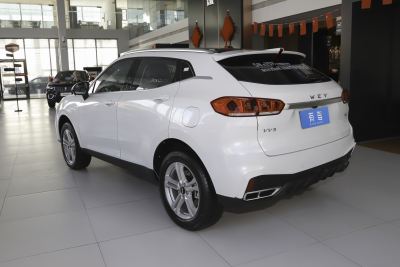 2021款 1.5T 两驱颜先锋-外观-图片-有驾