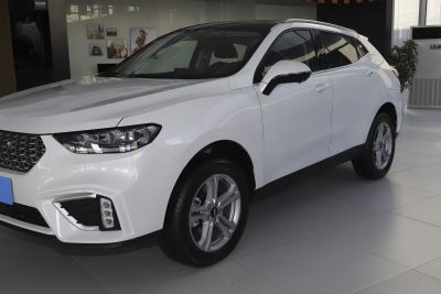 2021款 1.5T 两驱颜先锋-外观-图片-有驾