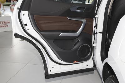 2021款 1.5T 两驱颜先锋-内饰-图片-有驾