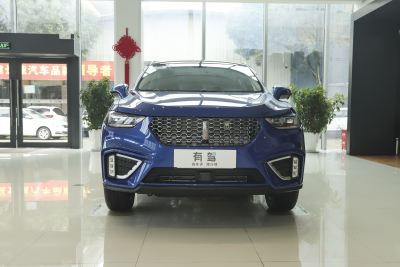 2021款 1.5T 两驱颜先锋-外观-图片-有驾