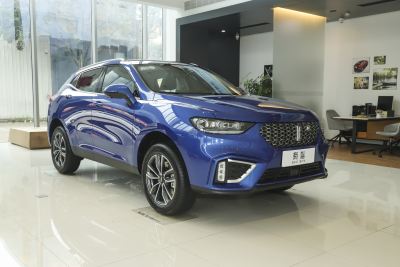 2021款 1.5T 两驱颜先锋-外观-图片-有驾