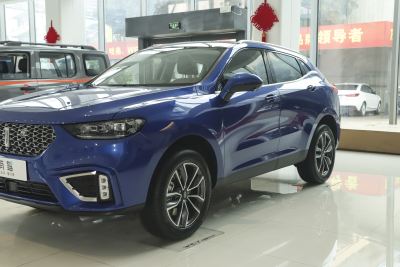 2021款 1.5T 两驱颜先锋-外观-图片-有驾