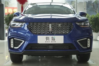 2021款 1.5T 两驱颜先锋-外观-图片-有驾