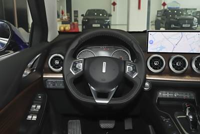 2021款 1.5T 两驱颜先锋-内饰-图片-有驾