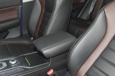 2021款 1.5T 两驱颜先锋-内饰-图片-有驾