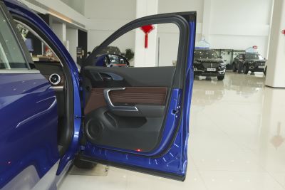 2021款 1.5T 两驱颜先锋-内饰-图片-有驾