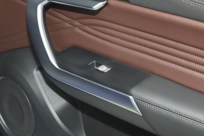 2021款 1.5T 两驱颜先锋-内饰-图片-有驾