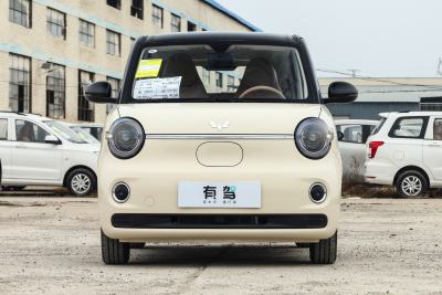 2026款 第五代 301km 臻享款-外观-图片-有驾