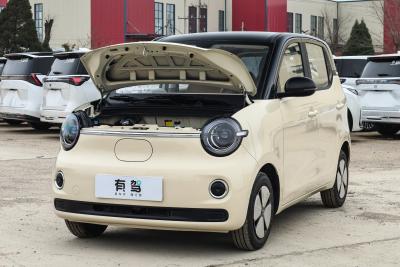 2026款 第五代 301km 臻享款-外观-图片-有驾