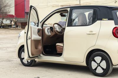 2026款 第五代 301km 臻享款-外观-图片-有驾