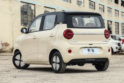 2026款 第五代 301km 臻享款-外观-图片-有驾