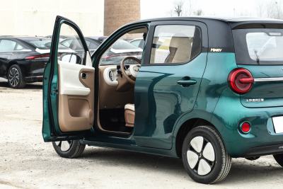 2026款 第五代 301km 臻享款-外观-图片-有驾