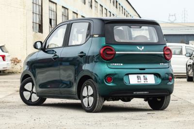 2026款 第五代 301km 臻享款-外观-图片-有驾