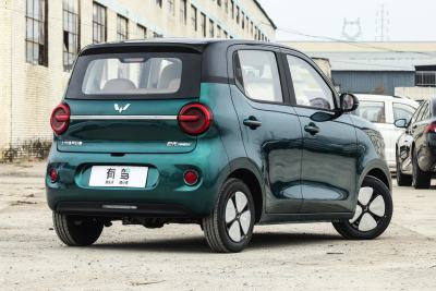 2026款 第五代 301km 臻享款-外观-图片-有驾