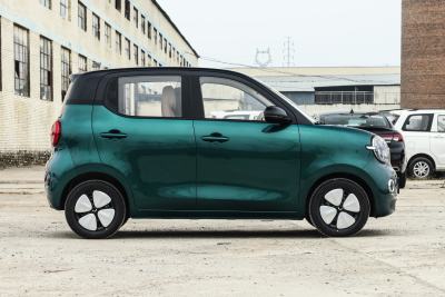 2026款 第五代 301km 臻享款-外观-图片-有驾