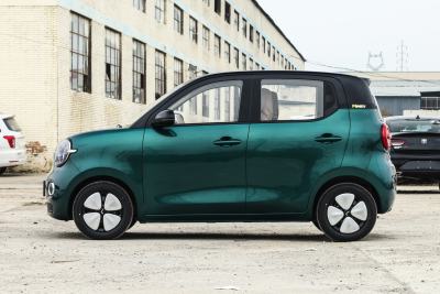 2026款 第五代 301km 臻享款-外观-图片-有驾