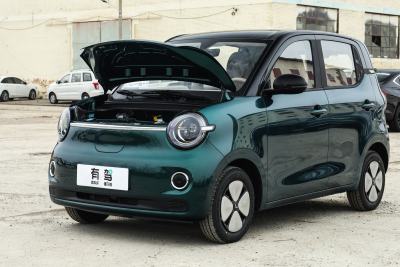 2026款 第五代 301km 臻享款-外观-图片-有驾