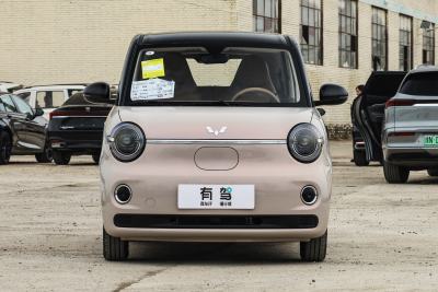 2026款 第五代 301km 臻享款-外观-图片-有驾