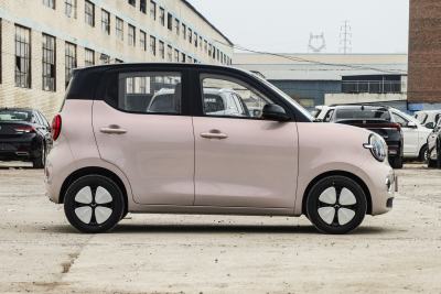 2026款 第五代 301km 臻享款-外观-图片-有驾