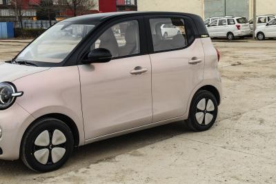 2026款 第五代 301km 臻享款-外观-图片-有驾