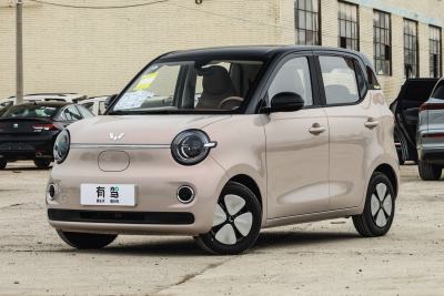 2026款 第五代 301km 臻享款-外观-图片-有驾