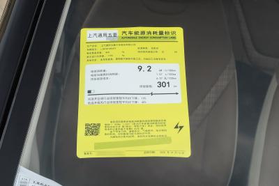 2026款 第五代 301km 臻享款-外观-图片-有驾