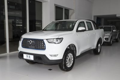 2021款 商用版领航型小双-外观-图片-有驾