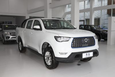 2021款 商用版领航型小双-外观-图片-有驾