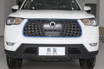 2021款 商用版领航型小双-外观-图片-有驾