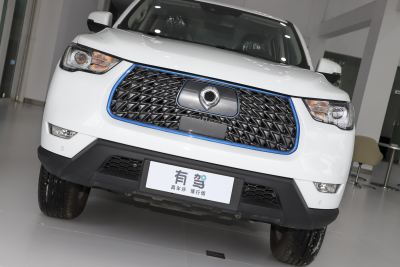 2021款 商用版领航型小双-外观-图片-有驾