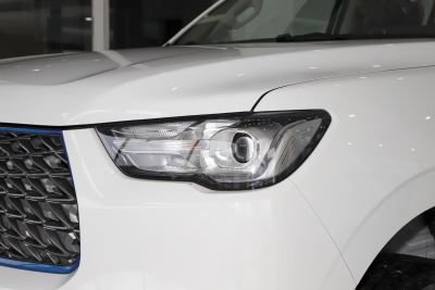 2021款 商用版领航型小双-外观-图片-有驾