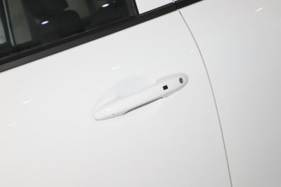 2021款 商用版领航型小双-外观-图片-有驾