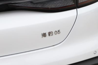 2025款 DM-i 智驾版 55KM豪华型-外观-图片-有驾