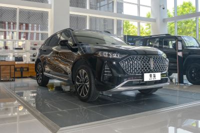 2021款 2.0T 两驱特醇版-外观-图片-有驾