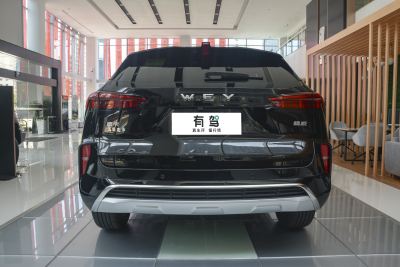 2021款 2.0T 两驱特醇版-外观-图片-有驾