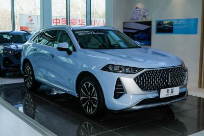 2021款 2.0T 两驱特醇版-外观-图片-有驾