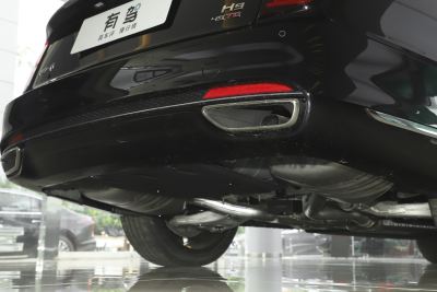 2025款 2.0T 两驱旗享豪华商务版 5座-外观-图片-有驾