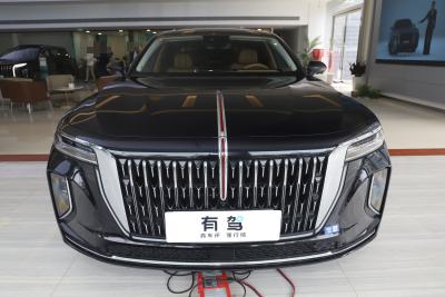 2025款 2.0T 两驱旗享豪华商务版 5座-外观-图片-有驾