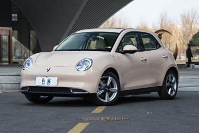 2023款 401km标准续航 尊贵型 磷酸铁锂-外观-图片-有驾 2023款 401km标准续航 尊贵型 磷酸铁锂-外观-图片-有驾